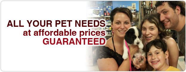 About Us, Puppy Store, Pet Store, Pet Supplies, Pet Food ...